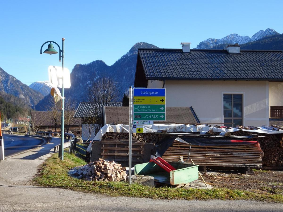 Apartmenthaus Edelweiss In Gosau Buitenkant foto