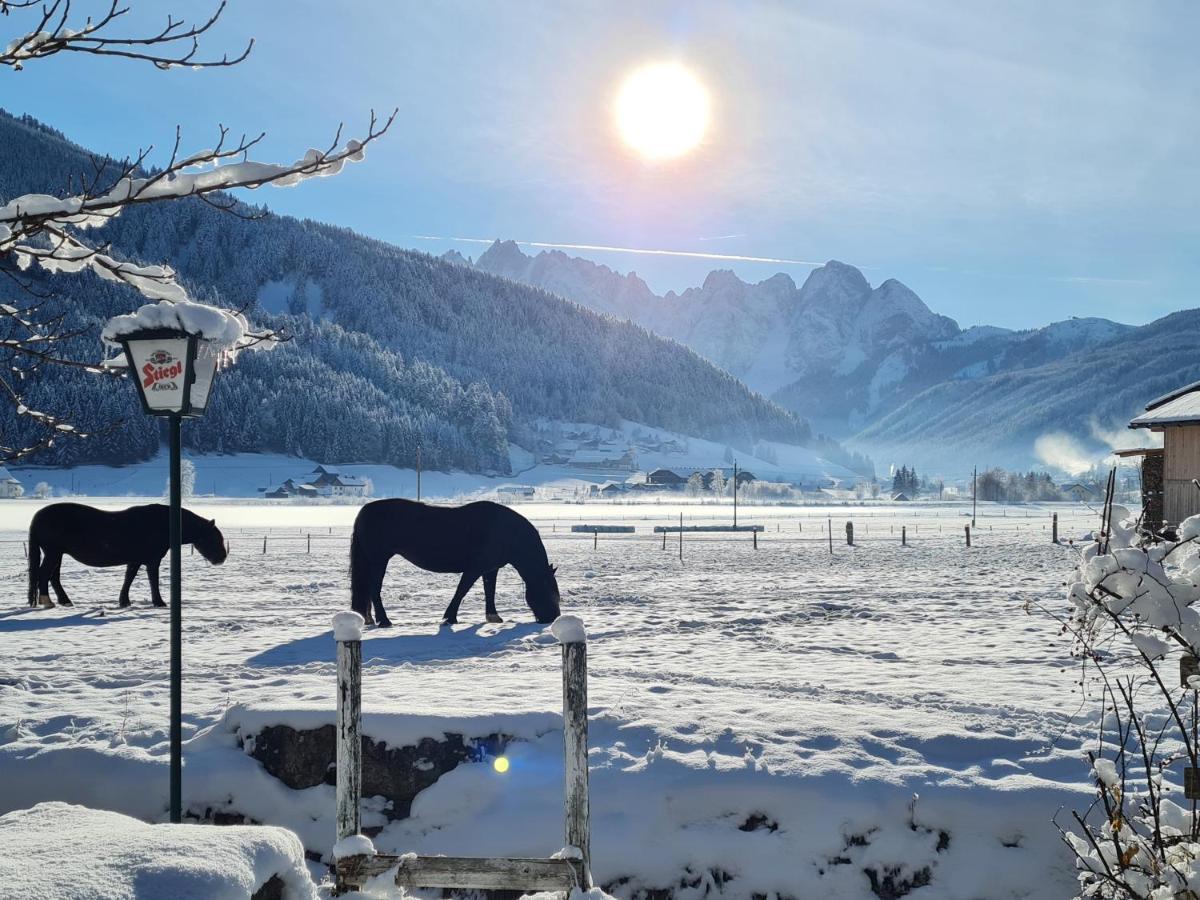 Apartmenthaus Edelweiss In Gosau Buitenkant foto