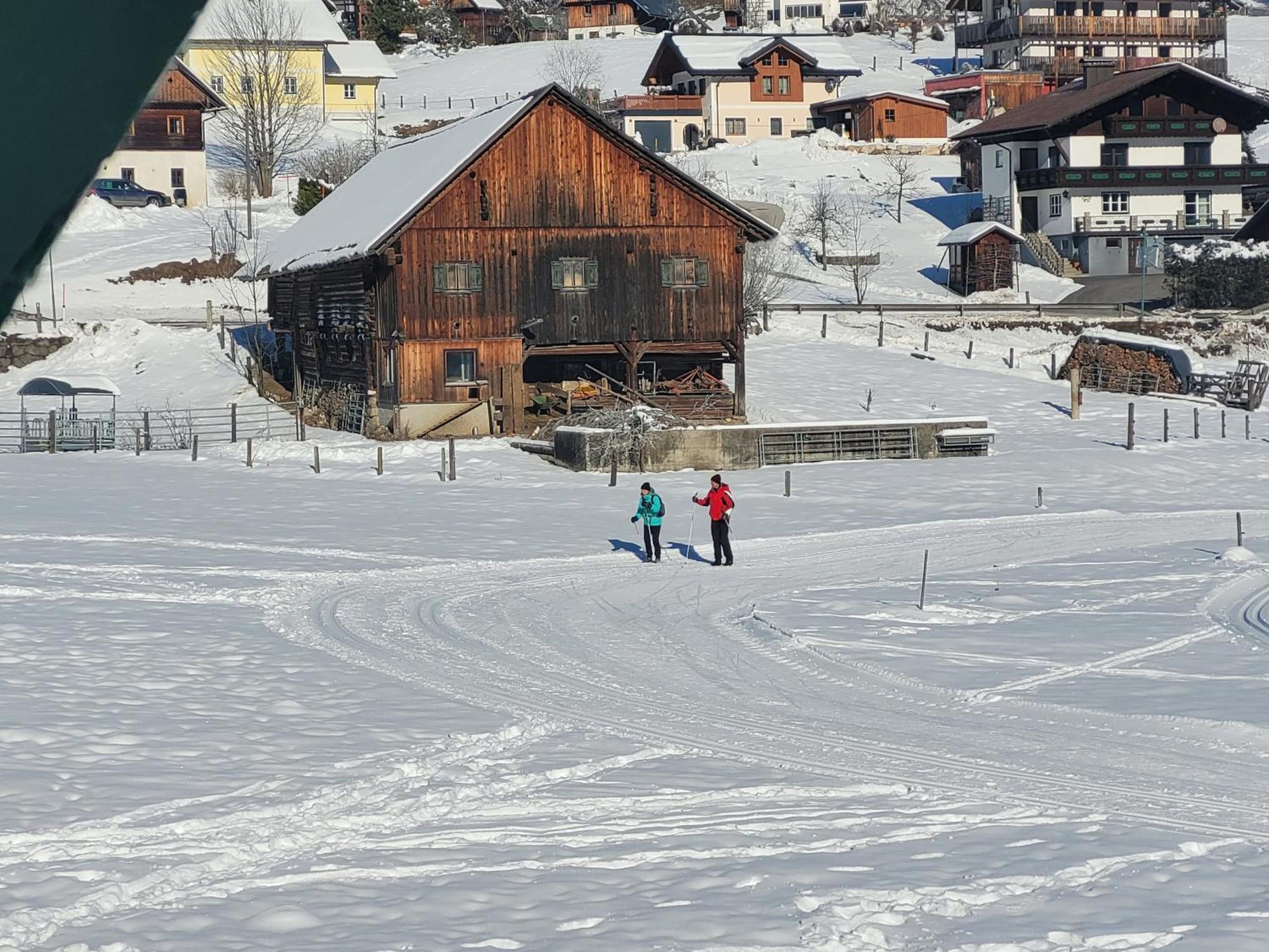 Apartmenthaus Edelweiss In Gosau Buitenkant foto