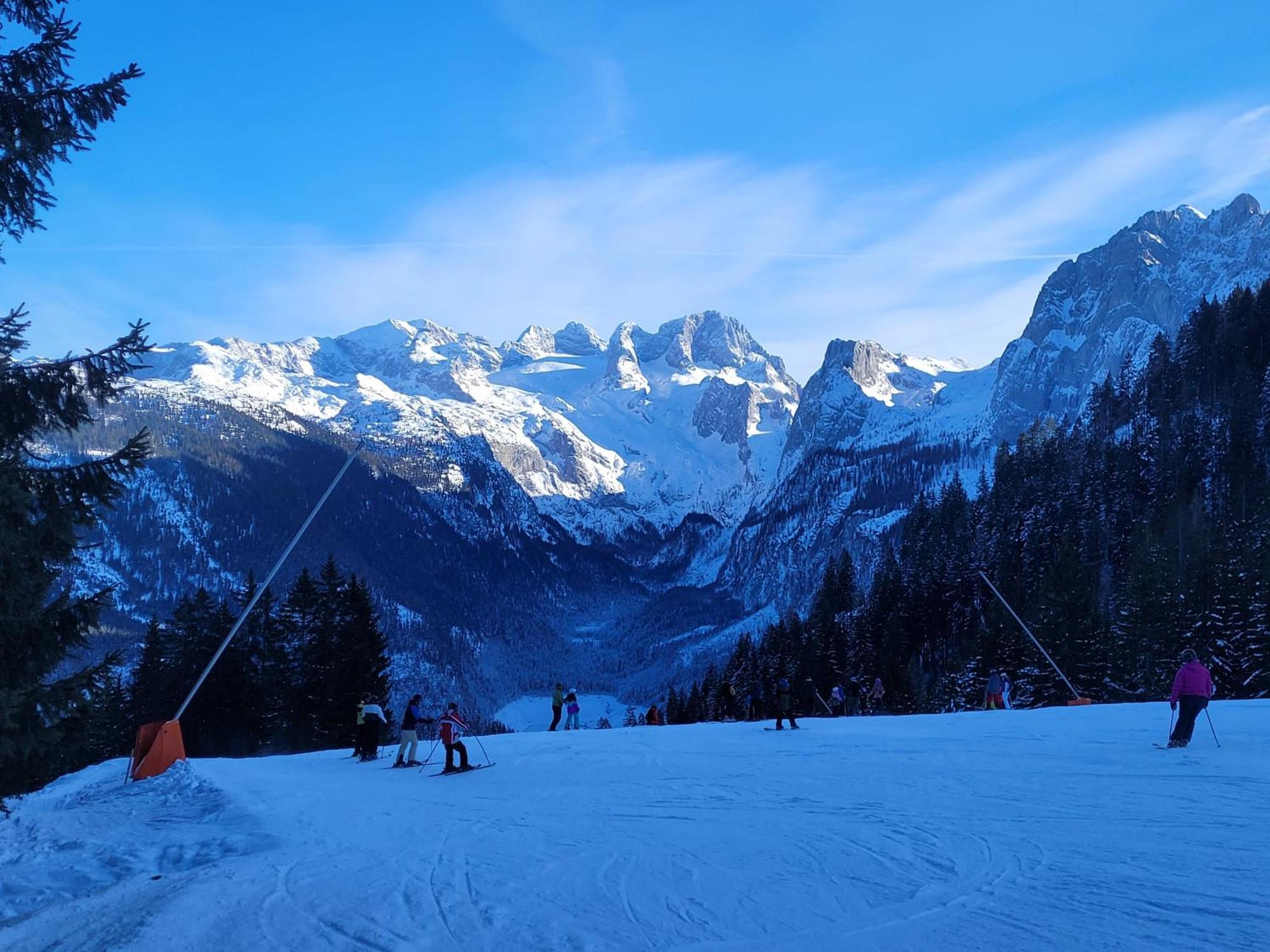 Apartmenthaus Edelweiss In Gosau Buitenkant foto