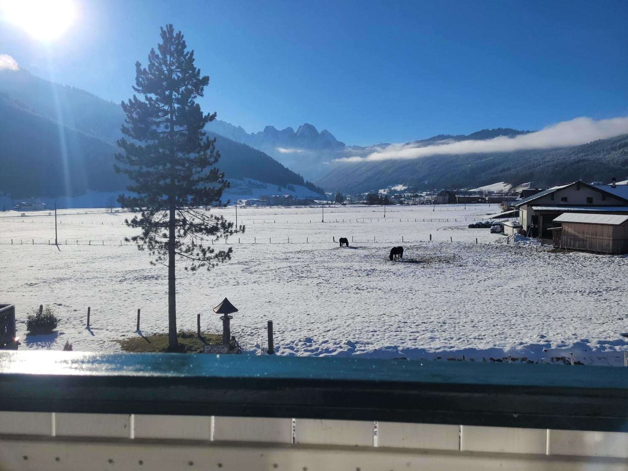 Apartmenthaus Edelweiss In Gosau Buitenkant foto