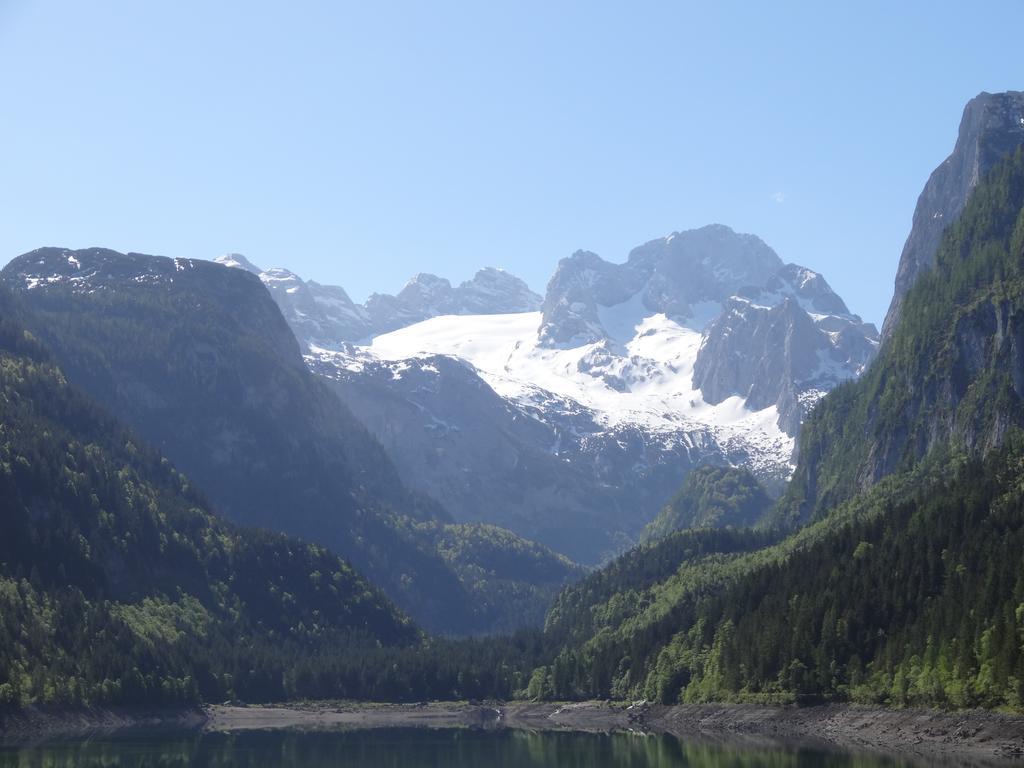 Apartmenthaus Edelweiss In Gosau Kamer foto