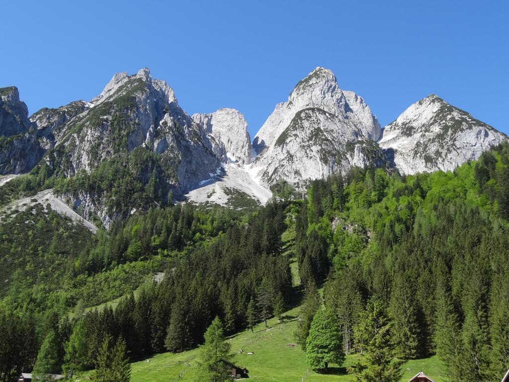 Apartmenthaus Edelweiss In Gosau Kamer foto